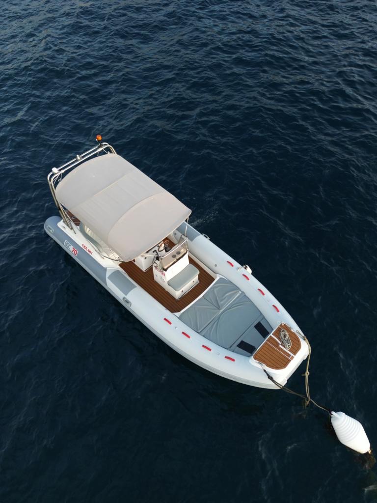 BSC RIB